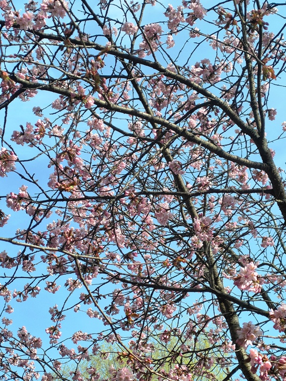 ��� ������� (� ����� �� ������ ���)