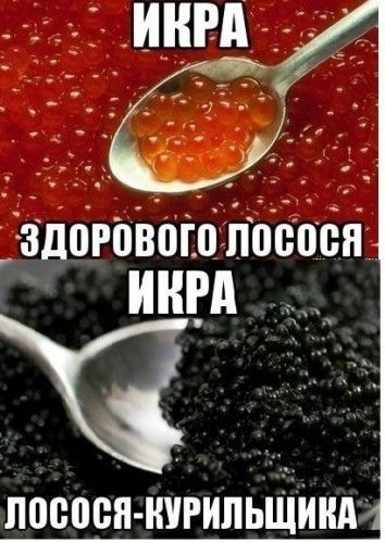 ...��� ��� �� ���������������?