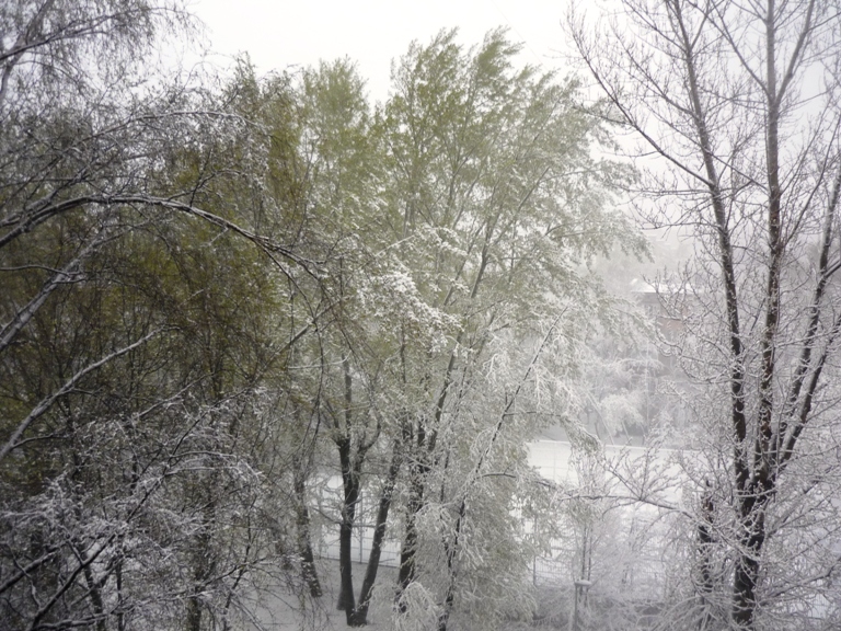 ��� ������� (� ����� �� ������ ���)