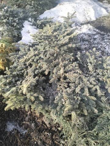 ����� � ����