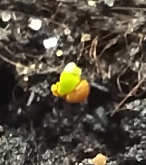 ����� � ����