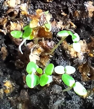 ����� � ����