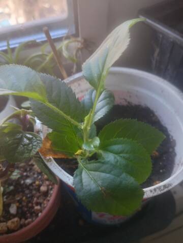 ����� � ����