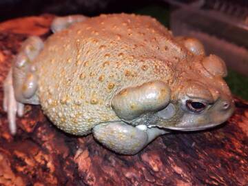 ��������������� ���� � ������ ����������