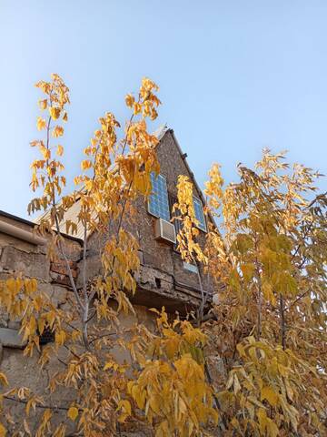 �������� �������