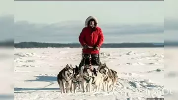 ��� ������� (� ����� �� ������ ���)
