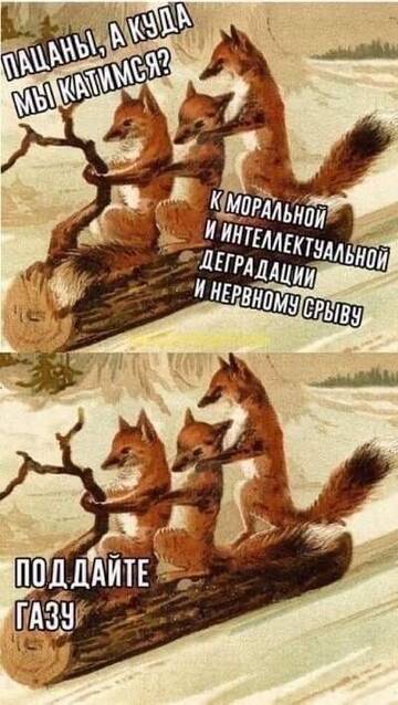 ����������-��� (��������)