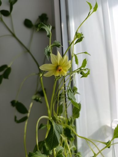 ����� � ����