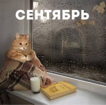 https://upforme.ru/uploads/001c/52/68/40/t954350.jpg