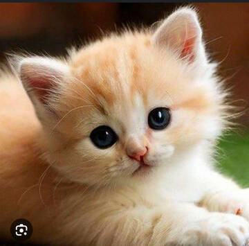 https://upforme.ru/uploads/001c/55/03/43/t195328.jpg