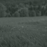 https://upforme.ru/uploads/001c/55/b9/10/780862.png