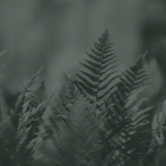 https://upforme.ru/uploads/001c/55/b9/10/85023.png
