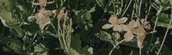 https://upforme.ru/uploads/001c/55/b9/11/116083.png