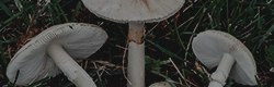 https://upforme.ru/uploads/001c/55/b9/11/345725.png