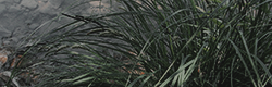 https://upforme.ru/uploads/001c/55/b9/11/378285.png