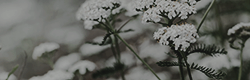https://upforme.ru/uploads/001c/55/b9/11/482134.png