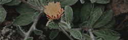 https://upforme.ru/uploads/001c/55/b9/11/683971.png