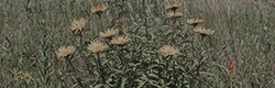 https://upforme.ru/uploads/001c/55/b9/11/848638.png