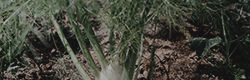 https://upforme.ru/uploads/001c/55/b9/11/874665.png