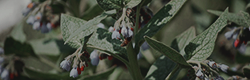 https://upforme.ru/uploads/001c/55/b9/11/98536.png