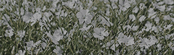 https://upforme.ru/uploads/001c/55/b9/11/987673.png
