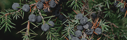 https://upforme.ru/uploads/001c/55/b9/11/99344.png