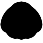 https://upforme.ru/uploads/001c/55/b9/121/790886.png