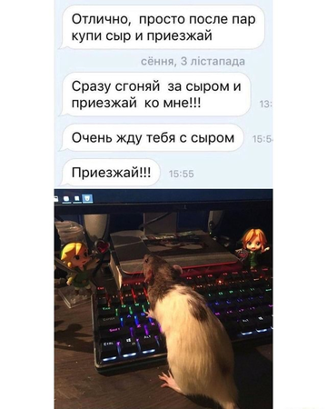 https://upforme.ru/uploads/001c/55/b9/149/t42255.png