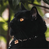 https://upforme.ru/uploads/001c/55/b9/159/896645.png