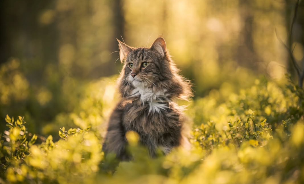 https://upforme.ru/uploads/001c/55/b9/173/256669.jpg