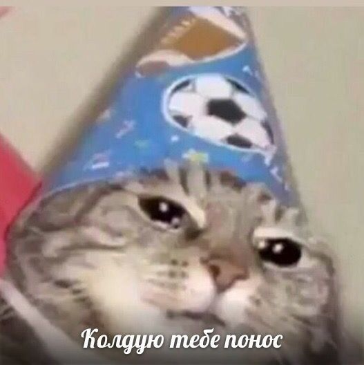 https://upforme.ru/uploads/001c/55/b9/191/955478.png
