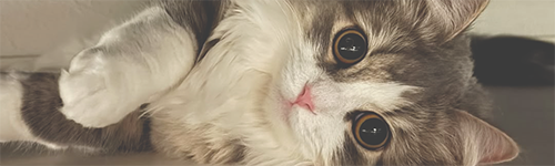 https://upforme.ru/uploads/001c/55/b9/195/720826.png