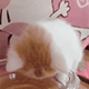 https://upforme.ru/uploads/001c/55/b9/2/105997.gif