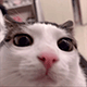 https://upforme.ru/uploads/001c/55/b9/2/110056.gif