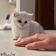 https://upforme.ru/uploads/001c/55/b9/2/113339.gif