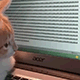 https://upforme.ru/uploads/001c/55/b9/2/119036.gif