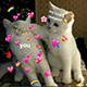 https://upforme.ru/uploads/001c/55/b9/2/122763.png