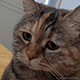 https://upforme.ru/uploads/001c/55/b9/2/126879.gif