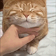 https://upforme.ru/uploads/001c/55/b9/2/128369.gif