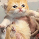 https://upforme.ru/uploads/001c/55/b9/2/131166.gif