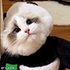 https://upforme.ru/uploads/001c/55/b9/2/151589.gif