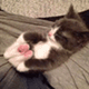 https://upforme.ru/uploads/001c/55/b9/2/180424.gif