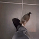 https://upforme.ru/uploads/001c/55/b9/2/188503.gif
