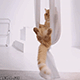 https://upforme.ru/uploads/001c/55/b9/2/189953.gif