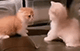 https://upforme.ru/uploads/001c/55/b9/2/19706.gif