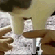 https://upforme.ru/uploads/001c/55/b9/2/202217.gif