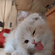 https://upforme.ru/uploads/001c/55/b9/2/204033.gif