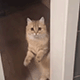 https://upforme.ru/uploads/001c/55/b9/2/208849.gif