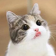 https://upforme.ru/uploads/001c/55/b9/2/220316.png