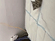 https://upforme.ru/uploads/001c/55/b9/2/229398.gif